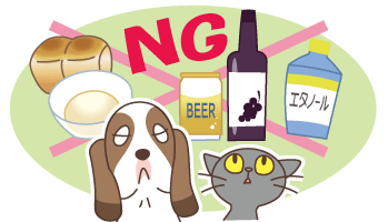 犬や猫にアルコールはNG