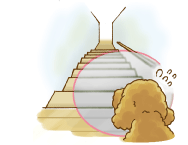 階段が怖い犬